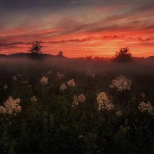 免费观看黄色电影
