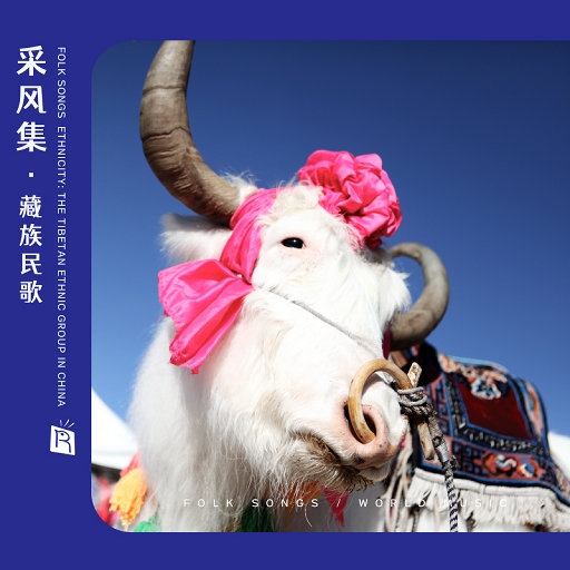 免费观看黄色电影
